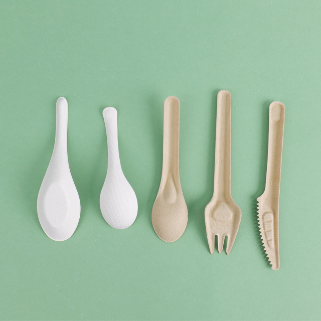 Custom Service Compostable sugarcane pulp products Spoon Fork Knife (2)