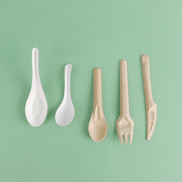 Custom Service Compostable sugarcane pulp products Spoon Fork Knife (1)