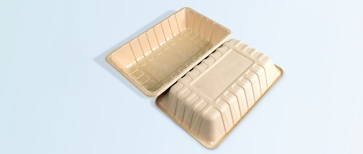 Inside SenCai A Top 10 High Quality Bagasse Tableware Bulk in China for Eco-Conscious Brands1.jpg