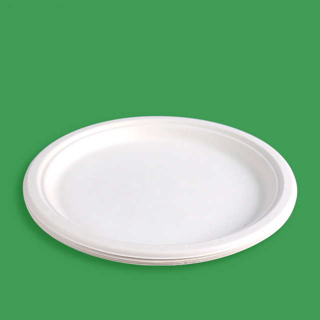 Custom Service Compostable sugarcane pulp products plate (6)