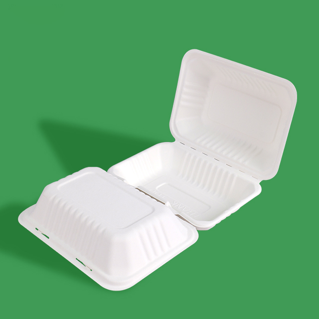 Why Sugarcane Bagasse Takeout Boxes Are the Future of Food Packaging?