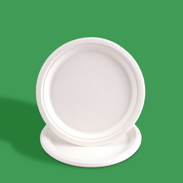 Custom Service Compostable sugarcane pulp products plate (4)