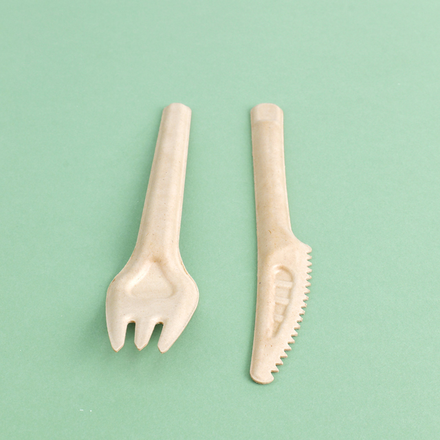 Custom Service Compostable sugarcane pulp products Spoon Fork Knife (4)