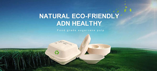 SenCai: A Leading China Wholesale Compostable Packaging Boxes Supplier with SNI Certification