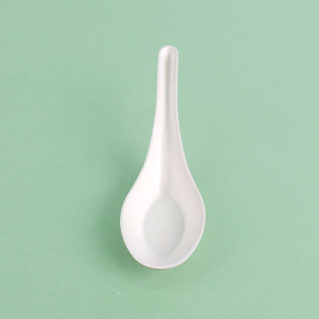 Custom Service Compostable sugarcane pulp products Spoon Fork Knife (3).jpg